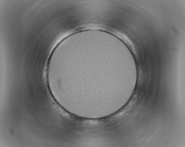 X0000110991190200907311003