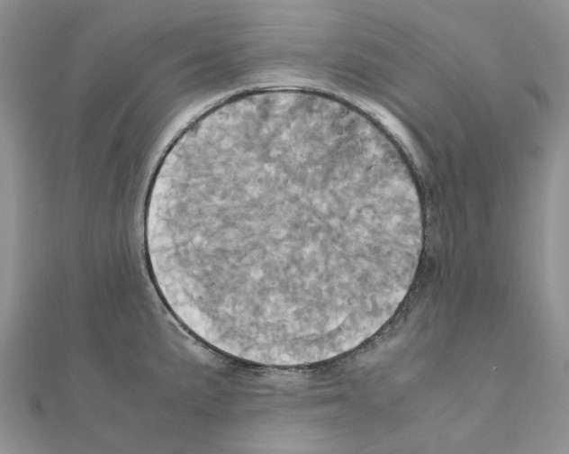 X0000110991191200907311003