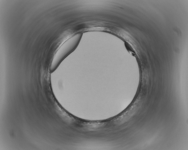 X0000110991193200907311003