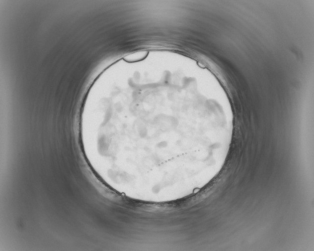 X0000110991195200907311003