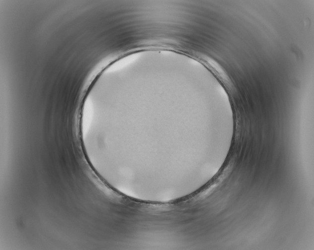 X0000110991196200907311003