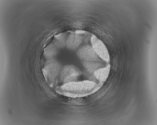 X0000110991201200907311002