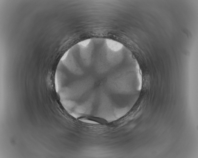 X0000110991202200907311002