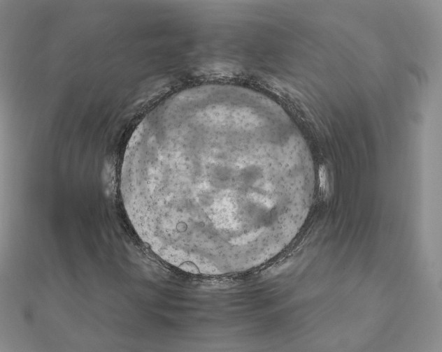 X0000110991203200907311002