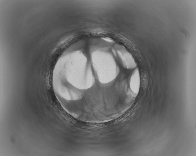 X0000110991205200907311003
