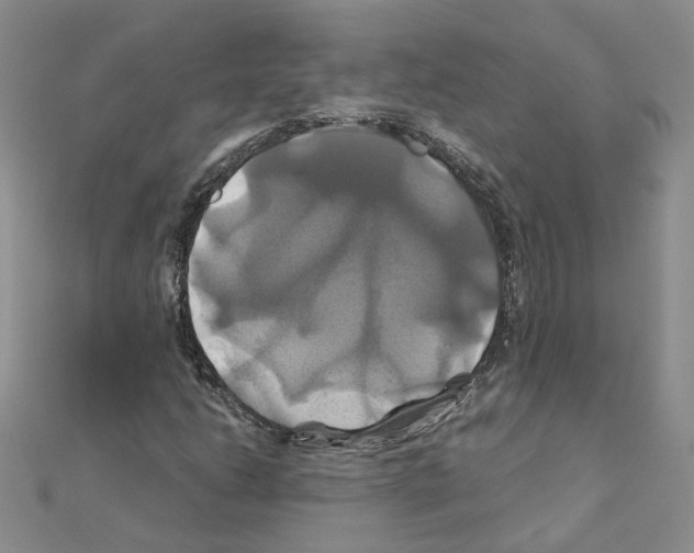 X0000110991206200907311003