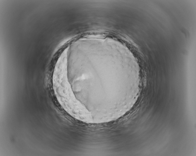 X0000110991208200907311003