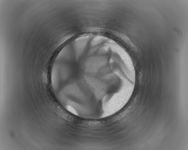 X0000110991209200907311003