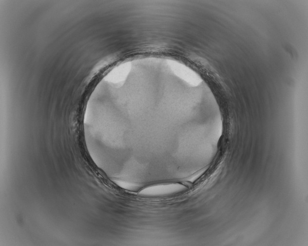 X0000110991210200907311003