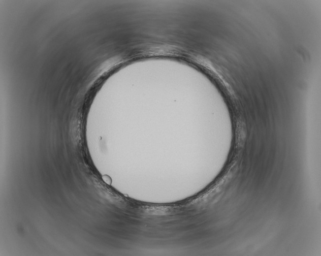 X0000110991211200907311003