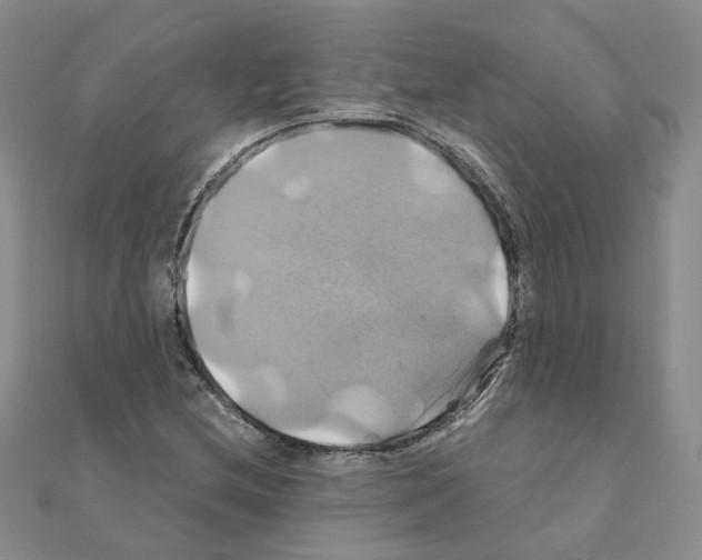 X0000110991212200907311003