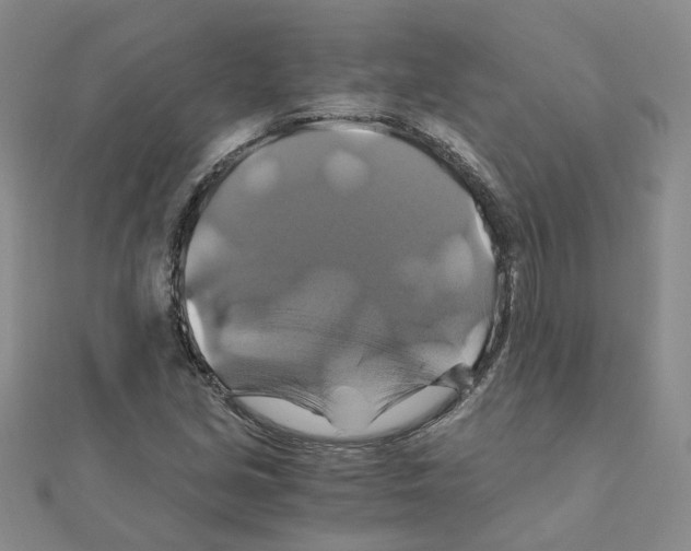 X0000110991213200907311003