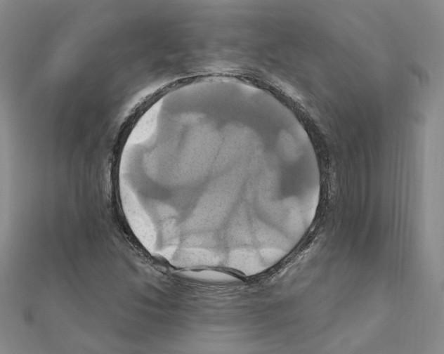 X0000110991214200907311003