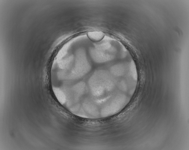 X0000110991215200907311003