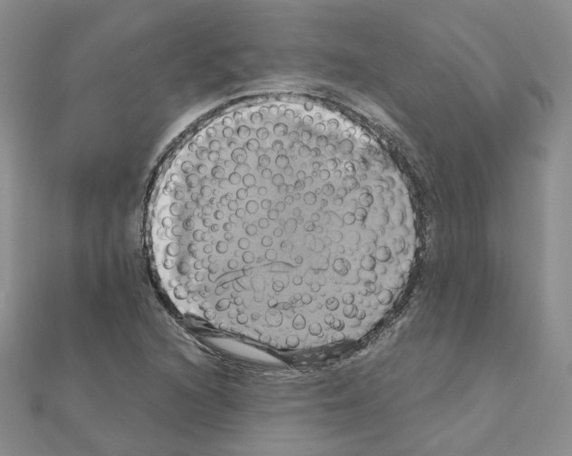 X0000110991216200907311003