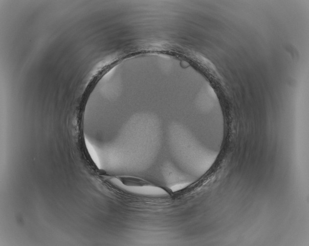 X0000110991218200907311003