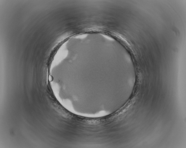 X0000110991219200907311003