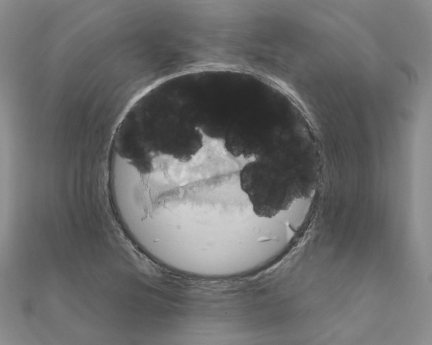 X0000110991220200907311003