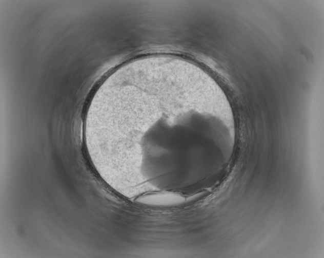 X0000110991221200907311003
