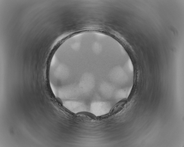X0000110991222200907311003