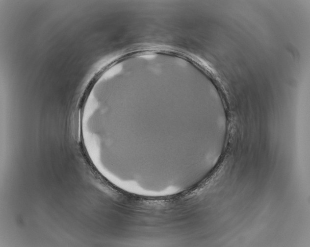 X0000110991223200907311003