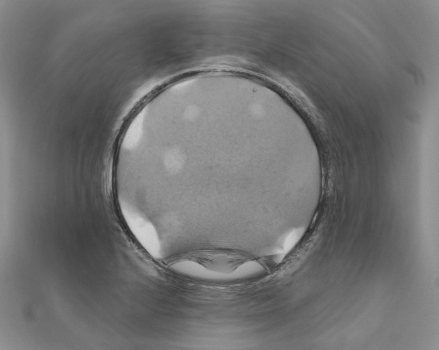 X0000110991224200907311003