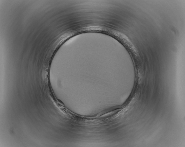 X0000110991225200907311003