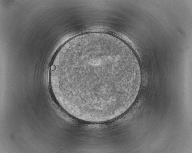 X0000110991227200907311003