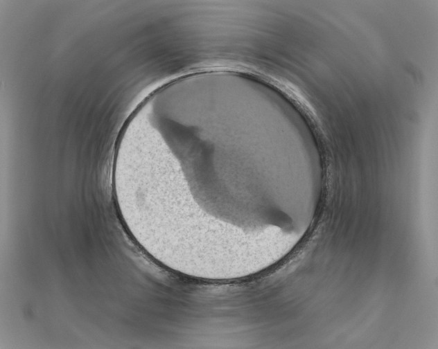 X0000110991228200907311003