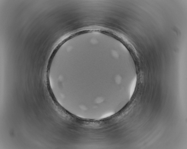 X0000110991229200907311003