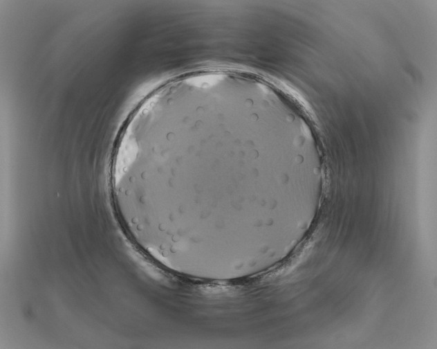 X0000110991231200907311003