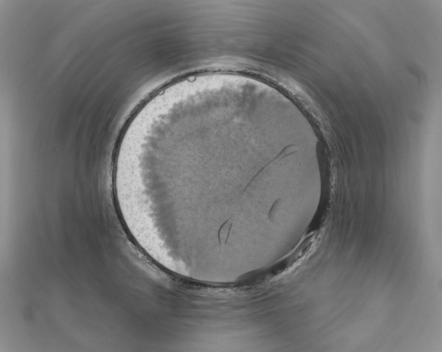 X0000110991232200907311003