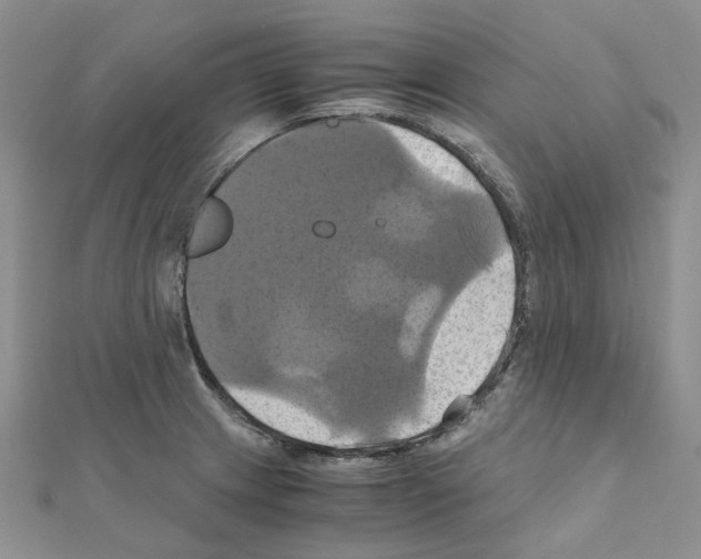 X0000110991233200907311003