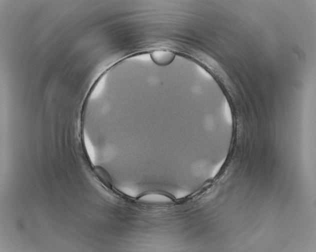 X0000110991234200907311003
