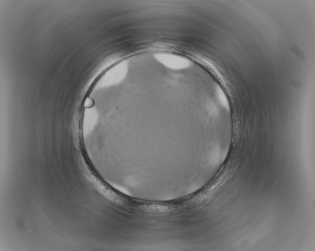 X0000110991235200907311003