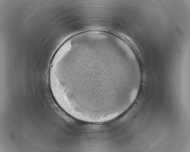 X0000110991236200907311003