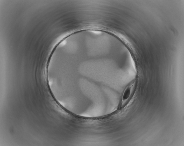 X0000110991238200907311003