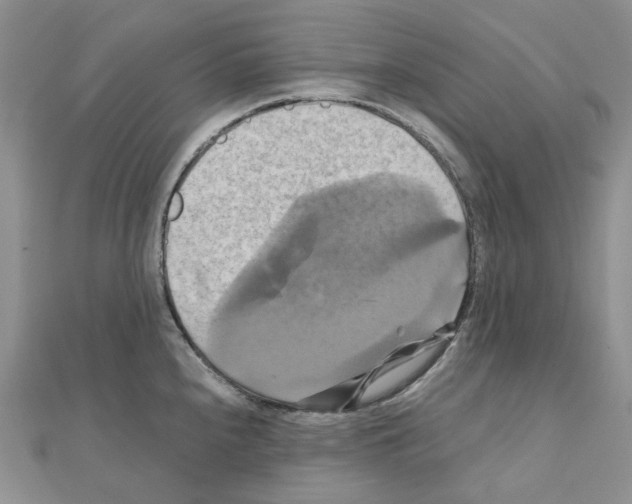 X0000110991240200907311003
