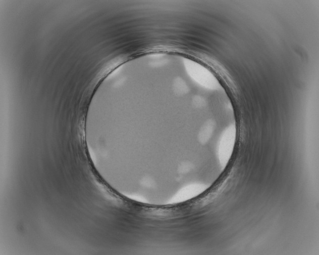 X0000110991241200907311003