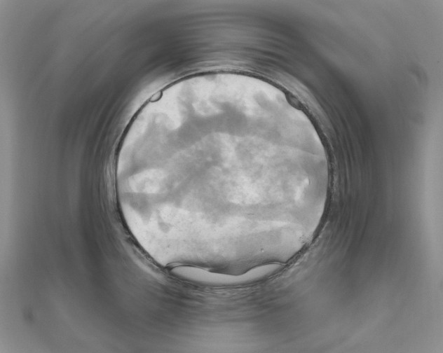 X0000110991242200907311003