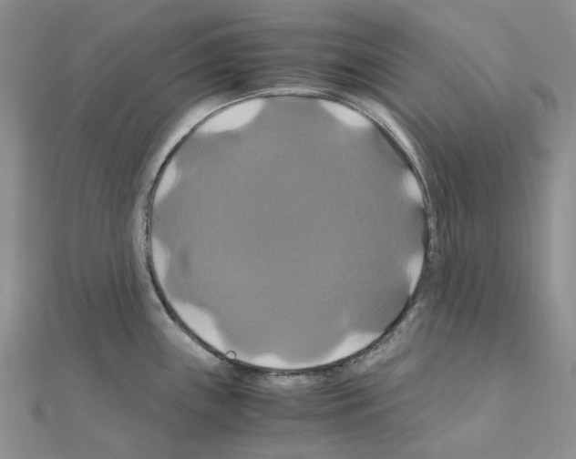 X0000110991243200907311003