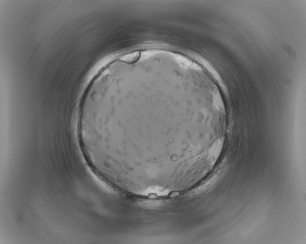 X0000110991245200907311003