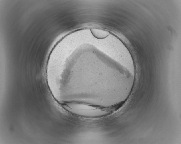 X0000110991248200907311003