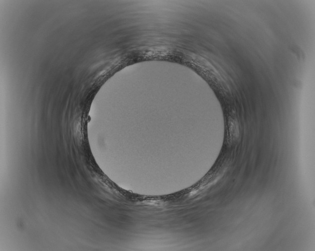 X0000110991250200907311002