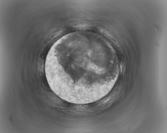 X0000110991251200907311002