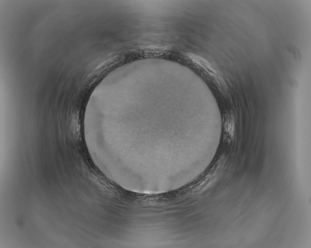 X0000110991252200907311002