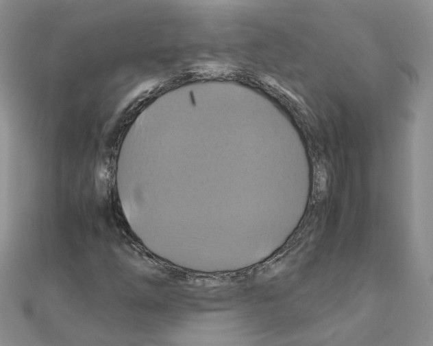 X0000110991254200907311002