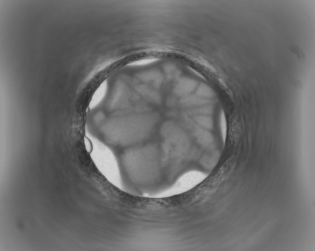 X0000110991255200907311002