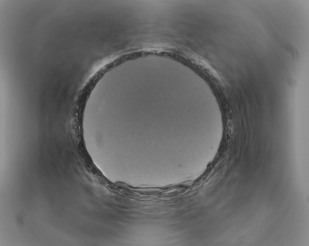 X0000110991256200907311002