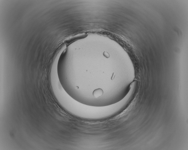 X0000110991257200907311002